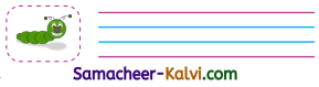 Samacheer Kalvi 3rd Standard English Guide Term 1 Chapter 2 The Insects 19