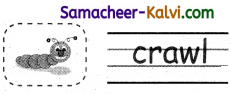 Samacheer Kalvi 3rd Standard English Guide Term 1 Chapter 2 The Insects 22