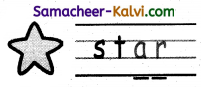 Samacheer Kalvi 3rd Standard English Guide Term 1 Chapter 2 The Insects 31