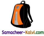Samacheer Kalvi 3rd Standard English Guide Term 1 Chapter 2 The Insects 40