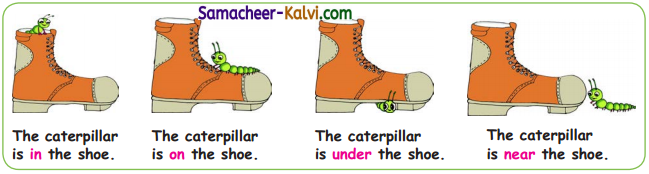 Samacheer Kalvi 3rd Standard English Guide Term 1 Chapter 2 The Insects 41