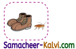 Samacheer Kalvi 3rd Standard English Guide Term 1 Chapter 2 The Insects 42