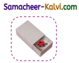 Samacheer Kalvi 3rd Standard English Guide Term 1 Chapter 2 The Insects 43