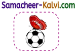 Samacheer Kalvi 3rd Standard English Guide Term 1 Chapter 2 The Insects 45