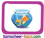 Samacheer Kalvi 3rd Standard English Guide Term 1 Chapter 2 The Insects 47