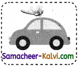Samacheer Kalvi 3rd Standard English Guide Term 1 Chapter 2 The Insects 51