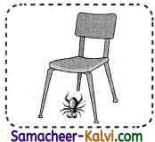 Samacheer Kalvi 3rd Standard English Guide Term 1 Chapter 2 The Insects 55
