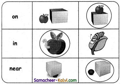 Samacheer Kalvi 3rd Standard English Guide Term 1 Chapter 2 The Insects 59
