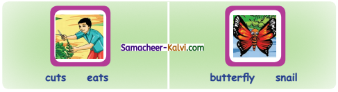 Samacheer Kalvi 3rd Standard English Guide Term 1 Chapter 2 The Insects 60