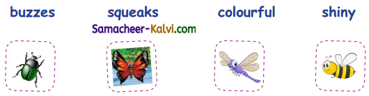 Samacheer Kalvi 3rd Standard English Guide Term 1 Chapter 2 The Insects 8