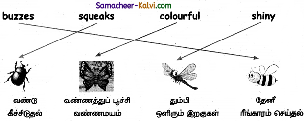 Samacheer Kalvi 3rd Standard English Guide Term 1 Chapter 2 The Insects 9