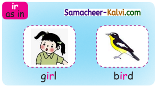 Samacheer Kalvi 3rd Standard English Guide Term 1 Chapter 3 The World Around Us 15
