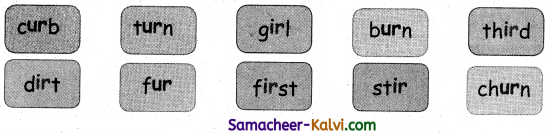 Samacheer Kalvi 3rd Standard English Guide Term 1 Chapter 3 The World Around Us 20