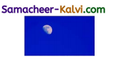 Samacheer Kalvi 3rd Standard English Guide Term 1 Chapter 3 The World Around Us 35