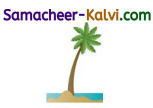 Samacheer Kalvi 3rd Standard English Guide Term 1 Chapter 3 The World Around Us 36