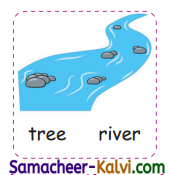 Samacheer Kalvi 3rd Standard English Guide Term 1 Chapter 3 The World Around Us 38