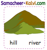 Samacheer Kalvi 3rd Standard English Guide Term 1 Chapter 3 The World Around Us 40