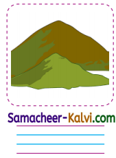 Samacheer Kalvi 3rd Standard English Guide Term 1 Chapter 3 The World Around Us 48