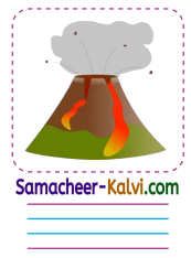 Samacheer Kalvi 3rd Standard English Guide Term 1 Chapter 3 The World Around Us 49