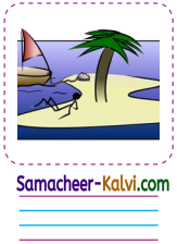 Samacheer Kalvi 3rd Standard English Guide Term 1 Chapter 3 The World Around Us 50