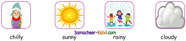 Samacheer Kalvi 3rd Standard English Guide Term 2 Chapter 1 Season's Story 17
