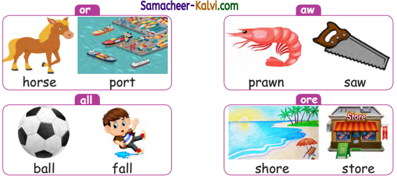 Samacheer Kalvi 3rd Standard English Guide Term 2 Chapter 1 Season's Story 21