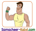 Samacheer Kalvi 3rd Standard English Guide Term 2 Chapter 1 Season's Story 42
