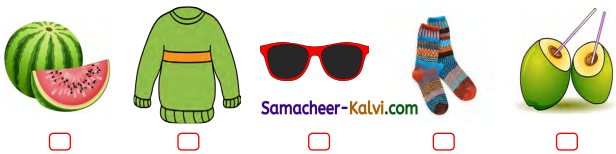 Samacheer Kalvi 3rd Standard English Guide Term 2 Chapter 1 Season's Story 47