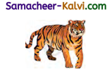 Samacheer Kalvi 3rd Standard English Guide Term 2 Chapter 1 Season's Story 54