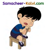 Samacheer Kalvi 3rd Standard English Guide Term 2 Chapter 1 Season's Story 55