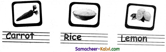 Samacheer Kalvi 3rd Standard English Guide Term 2 Chapter 2 Trip to the Store 15