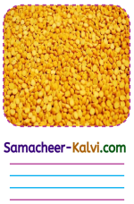 Samacheer Kalvi 3rd Standard English Guide Term 2 Chapter 2 Trip to the Store 52