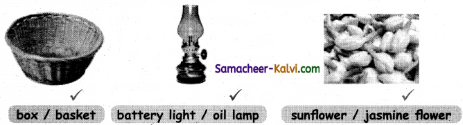 Samacheer Kalvi 3rd Standard English Guide Term 3 Chapter 1 Our Leafy Friends 11