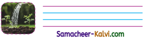 Samacheer Kalvi 3rd Standard English Guide Term 3 Chapter 1 Our Leafy Friends 14