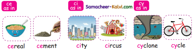 Samacheer Kalvi 3rd Standard English Guide Term 3 Chapter 1 Our Leafy Friends 17