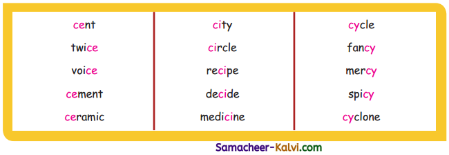 Samacheer Kalvi 3rd Standard English Guide Term 3 Chapter 1 Our Leafy Friends 18