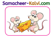 Samacheer Kalvi 3rd Standard English Guide Term 3 Chapter 1 Our Leafy Friends 20