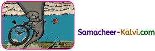 Samacheer Kalvi 3rd Standard English Guide Term 3 Chapter 1 Our Leafy Friends 22