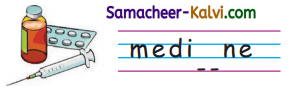 Samacheer Kalvi 3rd Standard English Guide Term 3 Chapter 1 Our Leafy Friends 27