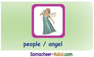 Samacheer Kalvi 3rd Standard English Guide Term 3 Chapter 1 Our Leafy Friends 43