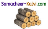 Samacheer Kalvi 3rd Standard English Guide Term 3 Chapter 1 Our Leafy Friends 45