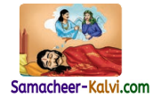 Samacheer Kalvi 3rd Standard English Guide Term 3 Chapter 1 Our Leafy Friends 46
