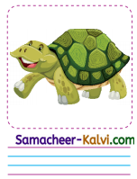 Samacheer Kalvi 3rd Standard English Guide Term 3 Chapter 1 Our Leafy Friends 51