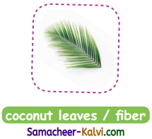 Samacheer Kalvi 3rd Standard English Guide Term 3 Chapter 1 Our Leafy Friends 8