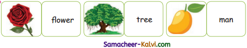 Samacheer Kalvi 3rd Standard English Guide Term 3 Chapter 1 Our Leafy Friends 9