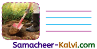 Samacheer Kalvi 3rd Standard English Guide Term 3 Chapter 2 Tools We Use 20