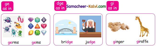 Samacheer Kalvi 3rd Standard English Guide Term 3 Chapter 2 Tools We Use 23
