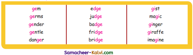 Samacheer Kalvi 3rd Standard English Guide Term 3 Chapter 2 Tools We Use 24