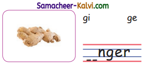 Samacheer Kalvi 3rd Standard English Guide Term 3 Chapter 2 Tools We Use 30