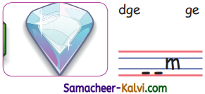 Samacheer Kalvi 3rd Standard English Guide Term 3 Chapter 2 Tools We Use 31